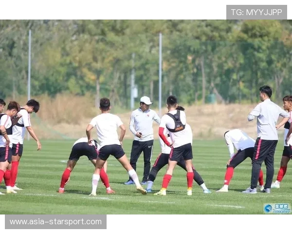 国家队海外拉练效果显著 技战术配合更默契，国家队海外队员征召