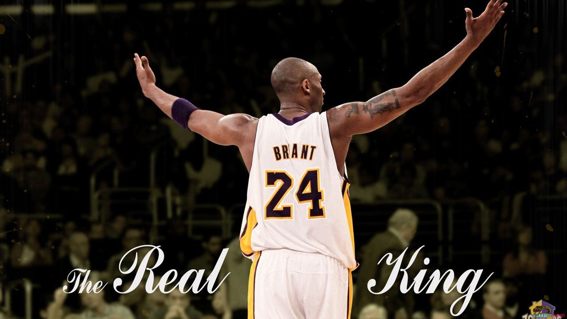 星空体育在线入口-“南非羚羊队的全能选手：诺克·达维德·彼得森”的独特优势”